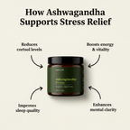 How Ashwagandha Supports Stress Relief
